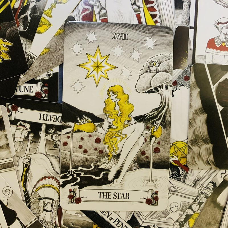 Secret Mirror Tarot cards 80 d - огляд і ціна Board Game Of Life